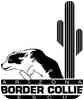 Border Collie Rescue Arizona Puppy